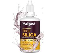 Silicium Supplement, Wellgard True Silica - Stabilised Silicon with Choline and Ortho Silicic Acid (OSA), Vegan Liquid Supplement for Skin, Hair, and Nails, 60ml