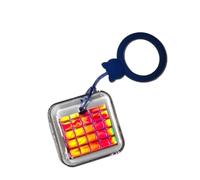 Silicon Wafer Die CPU Keychain - Semiconductor Processor & Memory Chip Samples. Great for STEM Education, Tech Gifts & Collection Display. (4 * 4cm keychain (KA1))