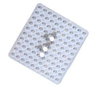 Silicone Cats Paws Mold Nails Art Template Silicone Texture for Beauticians and Learners Baking Chocolate Molds