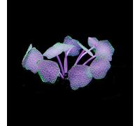 Silicone Coral Aquarium Decor,Artificial Coral for Fish Tanks | Silicone Aquarium Coral Decoration - Artificial Coral Ornament,Coral Aquarium Decorations Glow in the Sea