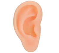 Silicone Ear Model, Fake Ears Professional Simulated Ear Model Acupuncture Practice Massage Teaching Tool Fake Ear(Right)