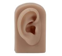 Silicone Ear Model Soft Flexible Right Ear Reusable Human Ear Model for Ear Piercing Training and Earrings Display (Brown)