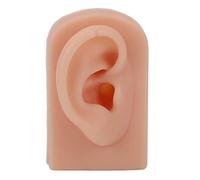 Silicone Ear Model Soft Flexible Right Ear Reusable Human Ear Model for Ear Piercing Training and Earrings Display (Dark Skin)