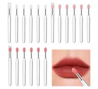 Silicone Lip Brush for Lipstick 18 Pcs Reusable Lip Brushes Eyeshadow Applicators with Cover Silicone Lipstick Brush Nail Art Applicator Tools