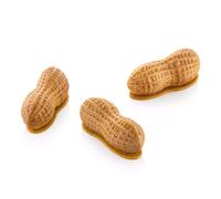 Silicone Mold Mignon Peanut Shape Silikomart Arachide 30 12x30 ml Kit
