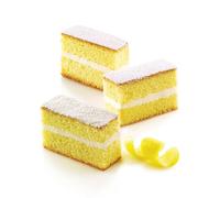 Silicone Mold N° 12 Cakes 79X29H30Mm Sf026 SILIKOMART