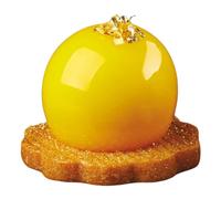 Silicone Mold Pavoflex Spheres 20 Paw Print Cake Single Portion 30x40 CM -