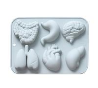 Silicone Molds Large Shapes Organ Non-Stick Flexible Reusable Food Grade