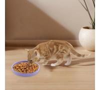 Silicone Slow Feeder Bowls - Cat & Dog Bowl Wet Food with Suction Cups, Interactive Puzzle Feeder, Reduces Boredom, Anxiety & Anti-Choking, Non-Slip Design (C)