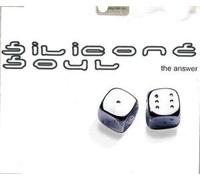 Silicone Soul - Answer
