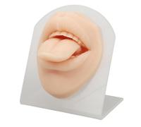 Silicone Tongue Model with Stand Soft Reusable Jewelry Display Tongue Model 3D Piercing Practice Body Parts