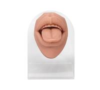 Silicone Tongue Mouth Model Tongue Mouth Display Model Simulation Model Soft