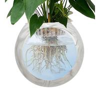 Silicone Wall Mounted Vase Clear Globe Flower Vase Bowl Terrarium Air Plant