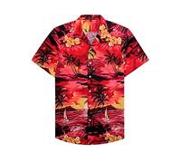 siliteelon Mens Hawaiian Shirt Short Sleeve Floral Aloha Shirts for Summer Beach Holiday,2XL