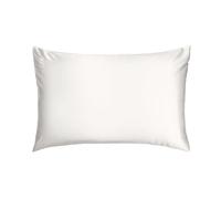 Silk Addict 100% Mulberry Silk Pillowcase Ivory