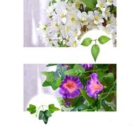 Silk and Plastic Hanging Flower Vine for Natural Style Home Decor, for Any Occasion (winter jasmine White)