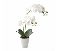 Silk Double-Stem Phalaenopsis Orchid in Pot, 39 cm Artificial Flower Arrangement for Home Décor, Weddings and Parties(White)