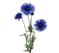 Silk Flowers Blue Cornflower Spray 65cm