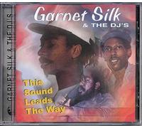 Silk Garnet - This Sound Leads the Way