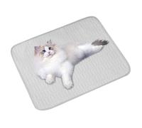 Silk Material Ice Anti-Hlip and Portable Ice - Cooling Dog Mat, Basket for Cats and Puppies - Home, Office, Garden - Adult Comfort and Small/Medium Size