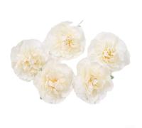 Silk Peony Flower Heads 8.5cm Realistic Fake Bloom(white)