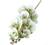 Silk Phalaenopsis Orchid Bouquet Artificial Flowers for Wedding Photo Booth Home Office Hotel Hallway Decor (Green)