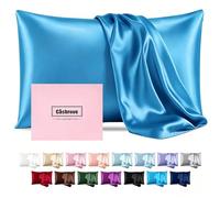 Silk Pillow Cases with Zipper,Mulberry Pillow Case,Pacific Blue,Queen,1pc | 20x30 Silk Pillowcase for Hair and Skin,Single Luxury Hypoallergenic Pillow Cover for Women Bed Sleep,Soft Breathable Smooth