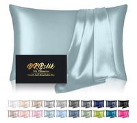 Silk Pillowcase for Hair and Skin, Mulberry Silk Pillow Cases King Size, Anti Acne Cooling Sleep Both Sides Natural Silk Satin Pillow Case Covers with Hidden Zipper, Gifts for Women Men, Aqua Blue