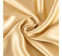 Silk Pillowcase Oxford Pillowcase 1pc 25MM One Side Mulberry Silk Single Pillow Case Many Colors(Champagne,48x74cm)