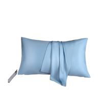 Silk Pillowcase Pure Mulberry Silk Pillowcase Silk Pillow Cover 40 * 60cm 50 * 70cm Qeen King Size Pillowcase(Light Blue,48x74cm 2pc)