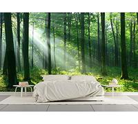 SILK ROAD EUTM 3D Panoramic Silk Wallpaper Trompe L'Oeil Forest, Custom Design, Giant Wall Poster, Landscape Green Nature for Living Room Bedroom Restaurant Wall Decoration