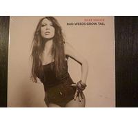 Silke Hauck - Bad Weeds Grow Tall