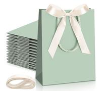 Silkfly 12 Pcs Paper Gift Bags with Handle 9x7x3.15'',Sage Green