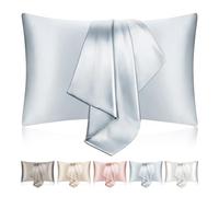 SILKTALE Natural Zip Mulberry Silk Pillow Case 2 Pack for Hair and Skin,Light Blue,Queen Size 50 x 75 cm