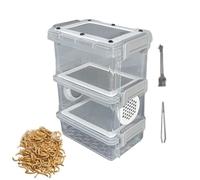 Silkworm Breeding Box Stable Container Keeper Set with Tweezers