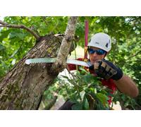 Silky 270-24 Zubat Professional Curved Hand Saw 240mm