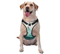 Silky Landscape Small Printed pet Traction Vest for Pets to wear When Walking The Dog or Climbing Mountains