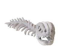 Silly Dinosaur Skeleton Costume For Children,3D Skeleton Design,Giant Dino Bone Costume for Home Decor, Cosplay & Prank Gifts (Gray)