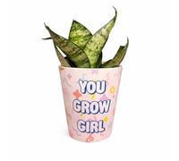 Silly Dog Designs - 11oz Ceramic Plant Pot with Drainage Hole - Cute Indoor Planter for Succulents & Starter Plants - Funny or Motivational Designs (You Grow Girl)