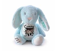 Silly Dog Designs - Baby Scan Gift Plush - Personalised Pregnancy Announcement Teddy - Bunny Unicorn Dino Cow Soft Toy - Scan Photo Keepsake (Blue Bunny)