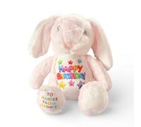 Silly Dog Designs - Birthday Bunny Plush - Personalised or Standard Soft Toy - “Happy Birthday” Teddy Gift for Kids - Custom Name Option - 4 Colours Blue Pink White Brown (Pink Bunny - Personalised)