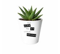 Silly Dog Designs - Funny Ceramic Plant Pot with Drainage Hole - 11oz White Succulent & Cactus Planter -Housewarming Gift, New Home Present or Gift for Plant Lovers (Say Aloe to Little Friend)