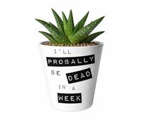Silly Dog Designs - Funny Ceramic Plant Pot with Drainage Hole - 11oz White Succulent & Cactus Planter -Housewarming Gift, New Home Present or Gift for Plant Lovers (I’ll Probably Be Dead in a Week)