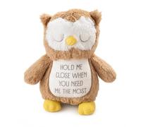 Silly Dog Designs - Hold Me Close Plushie - Comfort Plush with Reassuring Message - Emotional Support Gift for Children & Loved Ones - Dinosaur, Unicorn & Owl Soft Toy (Owl Non Personalised)