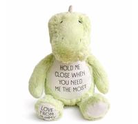 Silly Dog Designs - Hold Me Close Plushie - Comfort Plush with Reassuring Message - Emotional Support Gift for Children & Loved Ones - Dinosaur, Unicorn & Owl Soft Toy (Personalised Dinosaur)