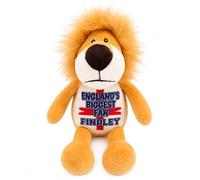 Silly Dog Designs - Personalised England Supporter Lion Plush Toy 20cm | Custom Name Football Fan Teddy | Soft Lion with Printed England Design | Gift for Children & England Supporters