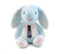 Silly Dog Designs - Personalised or Standard Father’s Day Bunny Plush - Soft Blue or Brown Rabbit Teddy - Best Dad Ever Tie Gift - Custom Name Option - Keepsake Dad Present (Blue Standard)