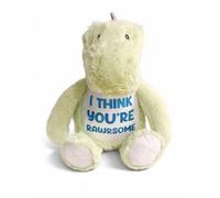 Silly Dog Designs - Personalised “Rawrsome” Dinosaur Soft Toy - Custom Name Plush Teddy for Kids, Soft Comfort Toy, Cute Dinosaur Gift (Standard Rawrsome Dinosaur)