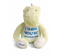 Silly Dog Designs - Personalised “Rawrsome” Dinosaur Soft Toy - Custom Name Plush Teddy for Kids, Soft Comfort Toy, Cute Dinosaur Gift