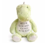 Silly Dog Designs - Personalised Worry Dinosaur Soft Toy - Comfort Plush with Reassuring Message - Emotional Support Gift for Children & Loved Ones - Valentines, Birthdays and Anniversaries